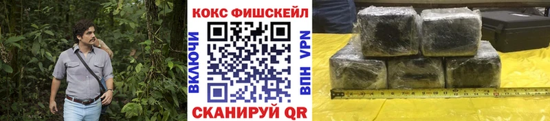COCAIN Эквадор  Купить закладки  Гатчина 