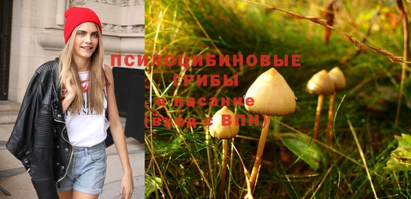 крисы Кинешма
