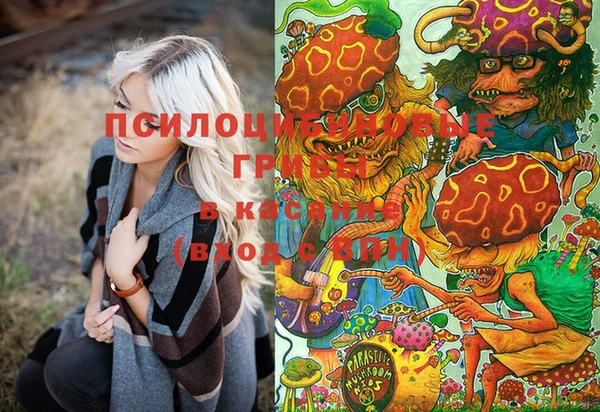 крисы Кинешма