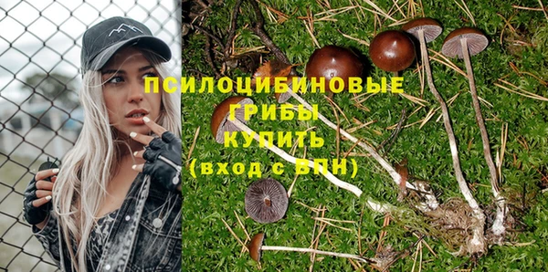 крисы Кинешма