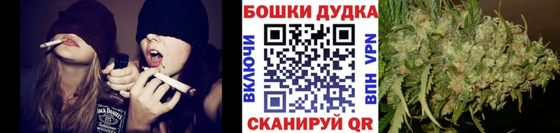 Купить закладки  Гатчина  Бошки Шишки Ganja 